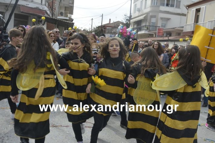 alexandriamou.gr_meliki192136