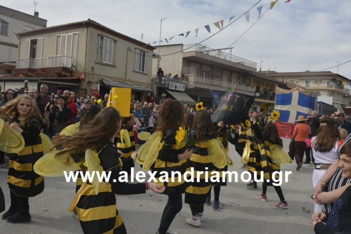 alexandriamou.gr_meliki192139