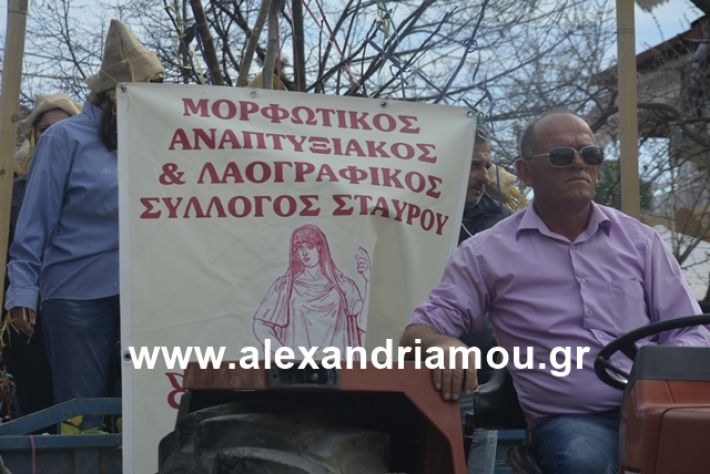 alexandriamou.gr_meliki192141