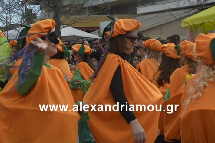 alexandriamou.gr_meliki192201