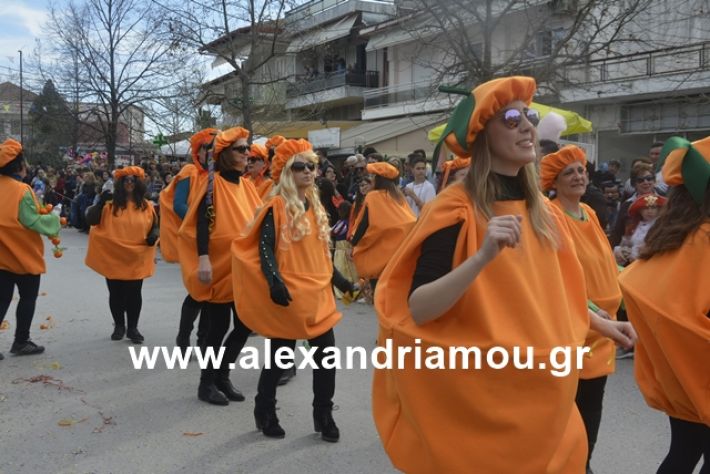 alexandriamou.gr_meliki192208