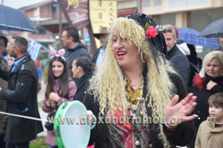 alexandriamou.gr_melikikarnavali18204