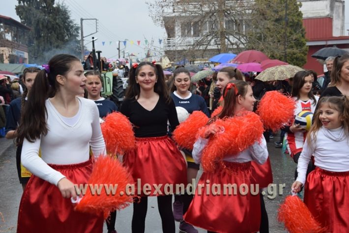 alexandriamou.gr_melikikarnavali18211