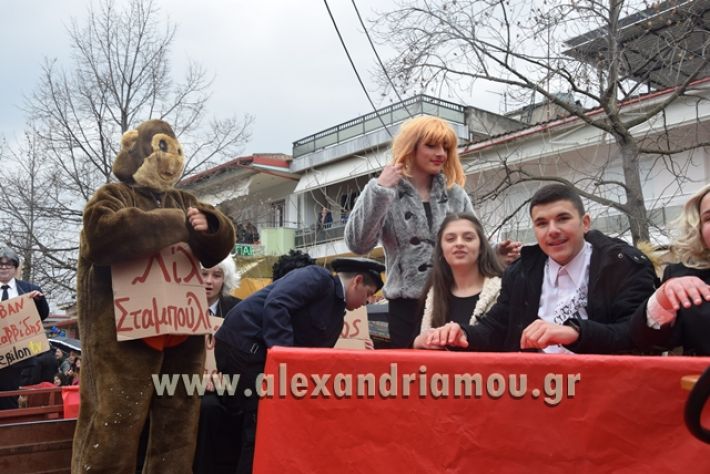 alexandriamou.gr_melikikarnavali18259