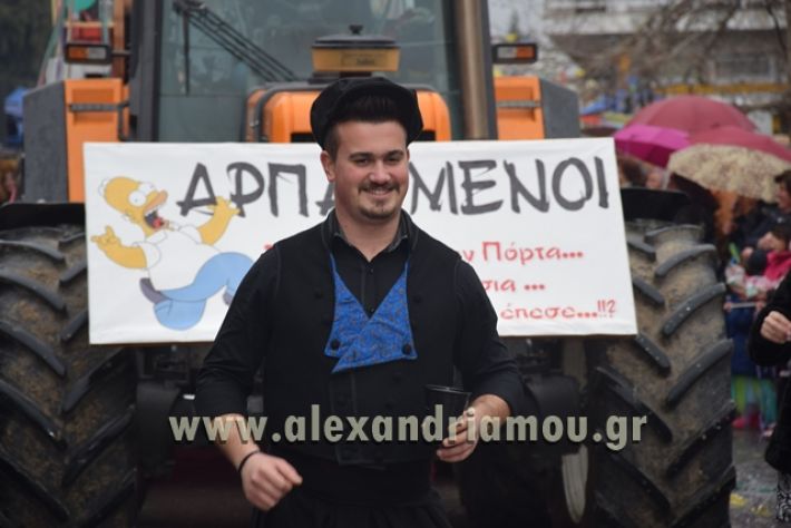 alexandriamou.gr_melikikarnavali18295