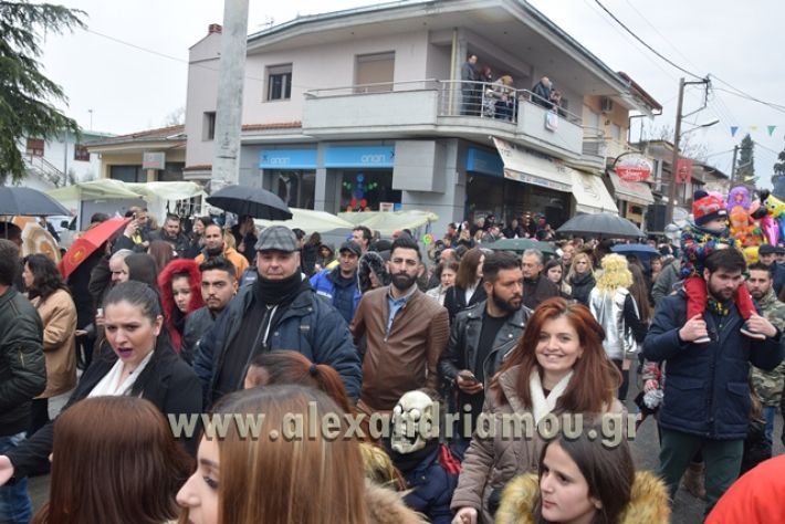 alexandriamou.gr_melikikarnavali18334