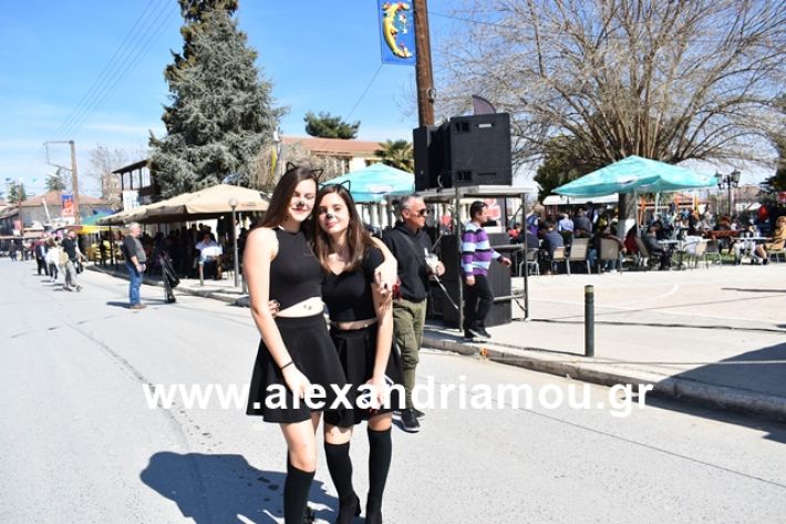 alexandriamou.gr_meliki_karnaval199019