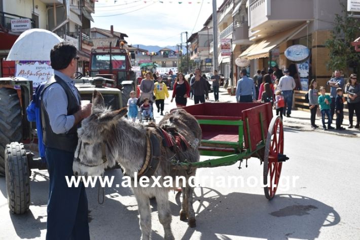 alexandriamou.gr_meliki_karnaval199043