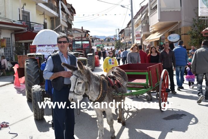 alexandriamou.gr_meliki_karnaval199044