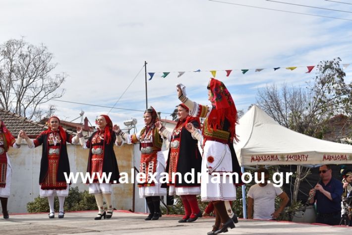 alexandriamou.gr_meliki_karnaval199055