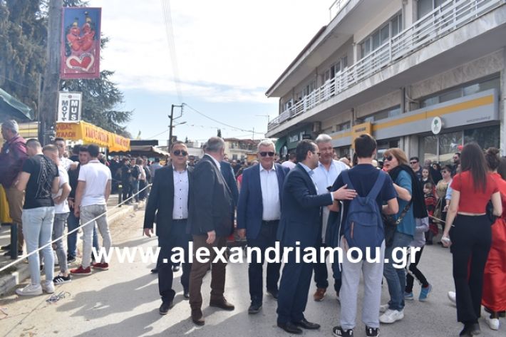 alexandriamou.gr_meliki_karnaval199056