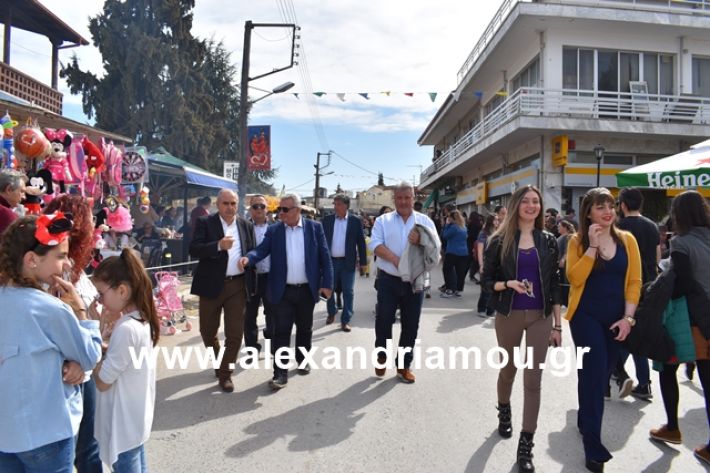 alexandriamou.gr_meliki_karnaval199058