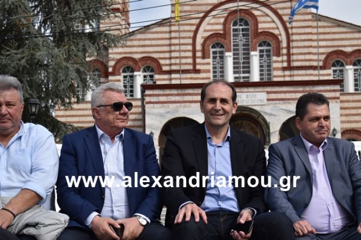 alexandriamou.gr_meliki_karnaval199089