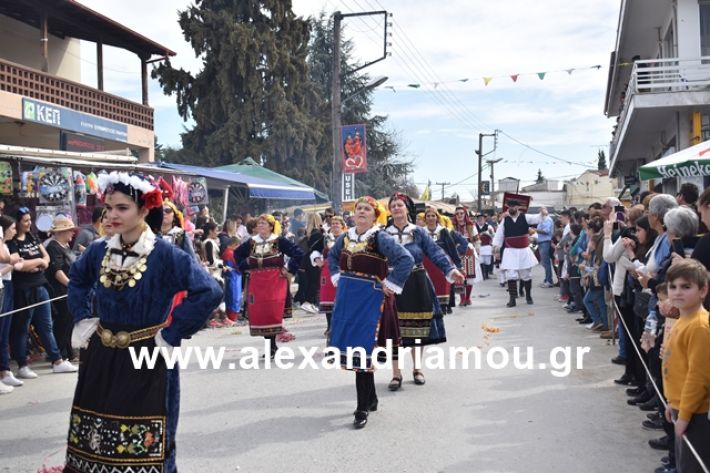 alexandriamou.gr_meliki_karnaval199106