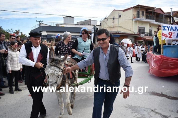 alexandriamou.gr_meliki_karnaval199121