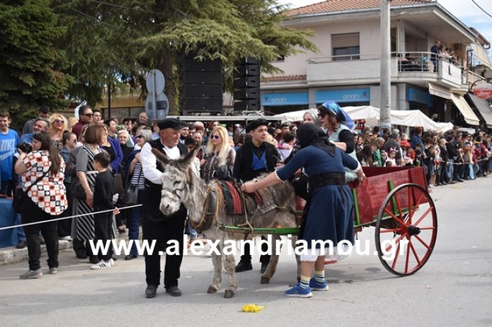 alexandriamou.gr_meliki_karnaval199148