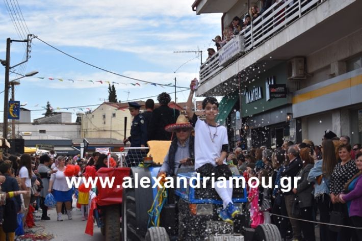 alexandriamou.gr_meliki_karnaval199157