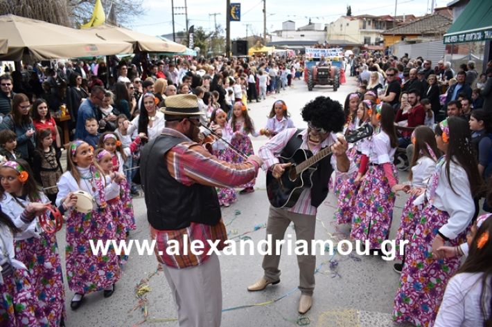 alexandriamou.gr_meliki_karnaval199165