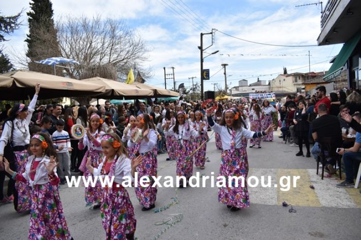 alexandriamou.gr_meliki_karnaval199168