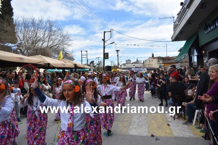 alexandriamou.gr_meliki_karnaval199169