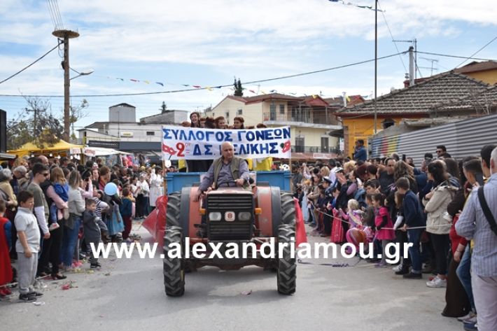 alexandriamou.gr_meliki_karnaval199170