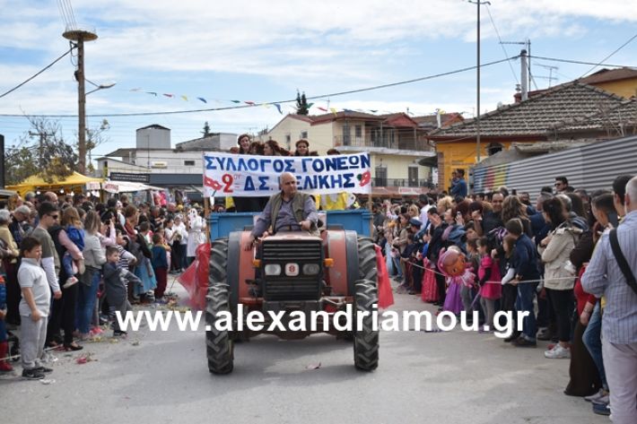 alexandriamou.gr_meliki_karnaval199171