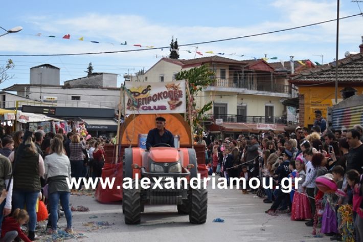 alexandriamou.gr_meliki_karnaval199230