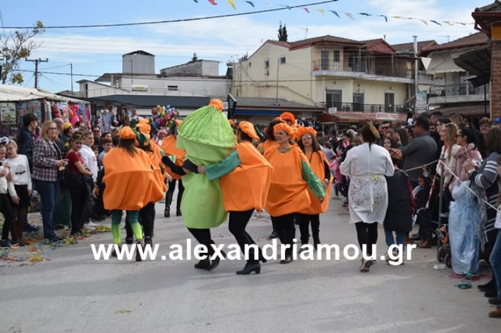 alexandriamou.gr_meliki_karnaval199234