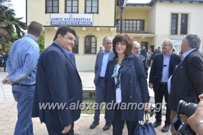 alexandriamou_araxobitis2019018