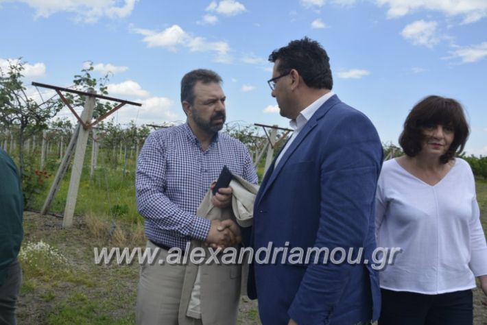 alexandriamou_araxobitis2019113