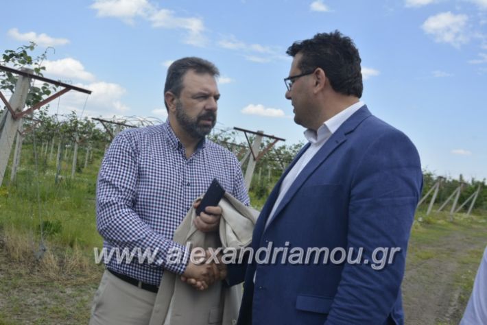 alexandriamou_araxobitis2019114