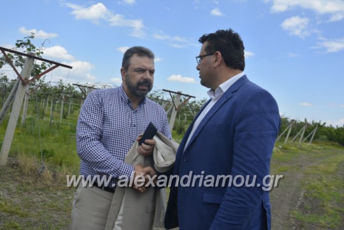 alexandriamou_araxobitis2019115