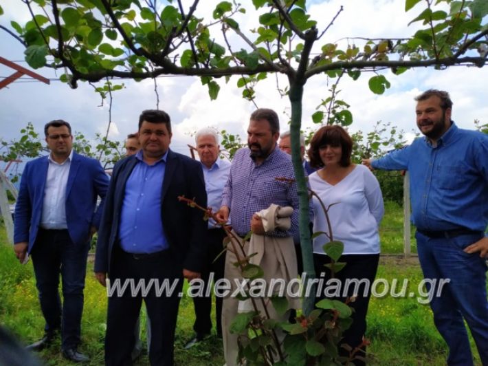 alexandriamou_araxobitis2019132