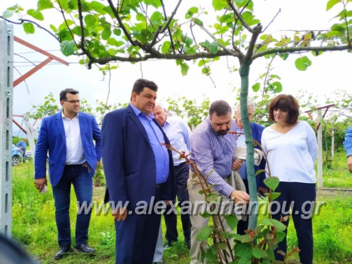 alexandriamou_araxobitis2019148