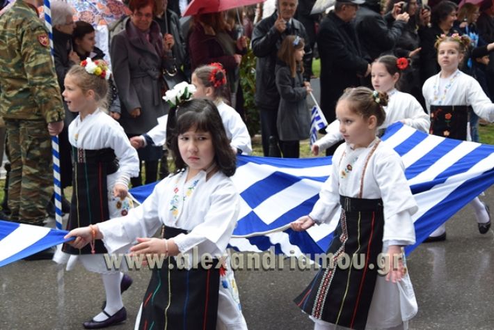 alexandriamou,gr_syloogi20188053