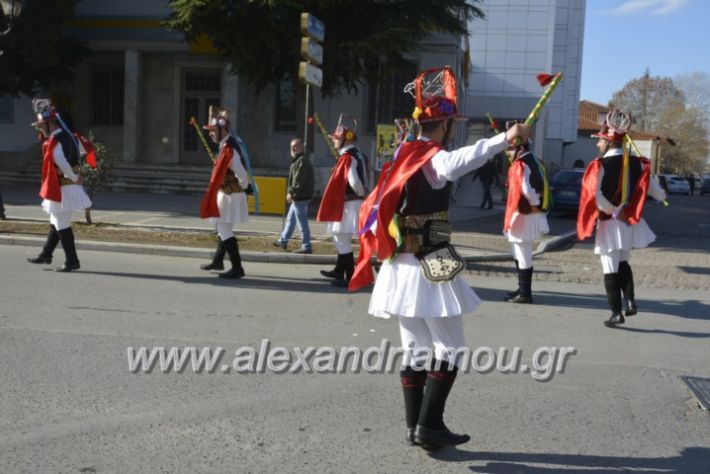 alexandriamou.gr_momogeroipontioi2018052