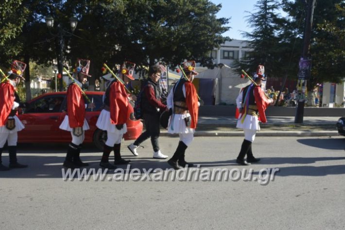 alexandriamou.gr_momogeroipontioi2018062