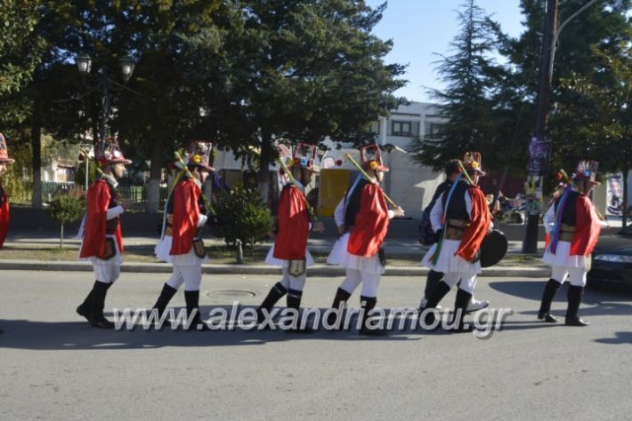 alexandriamou.gr_momogeroipontioi2018063