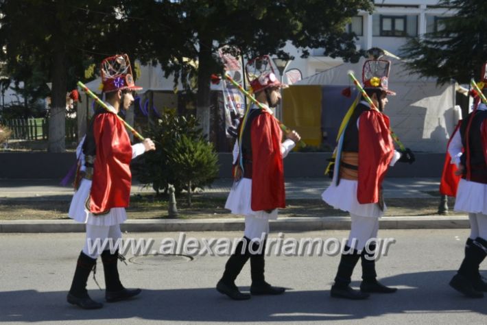 alexandriamou.gr_momogeroipontioi2018066