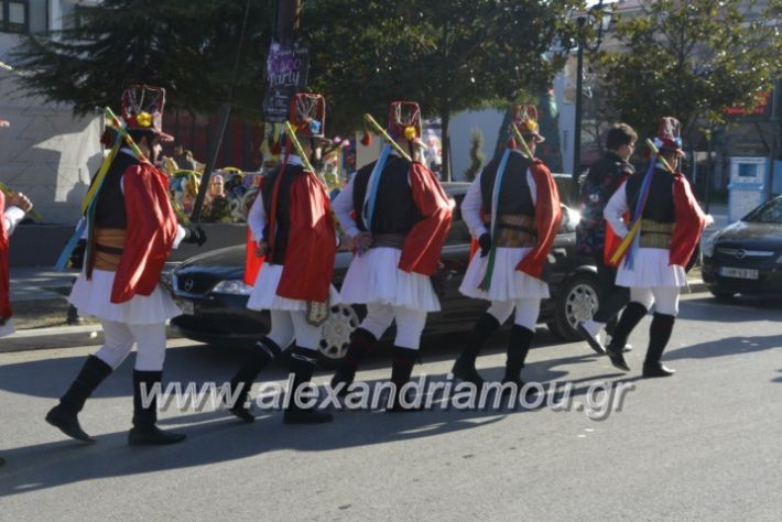 alexandriamou.gr_momogeroipontioi2018067