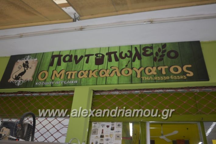 alexandriamou.gr_mpakalogatosplati019