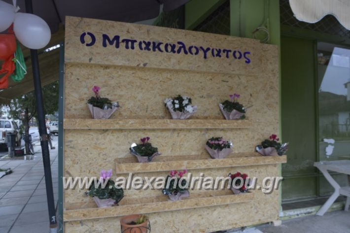 alexandriamou.gr_mpakalogatosplati026