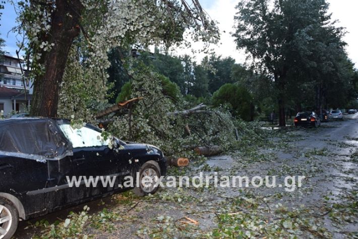 alexandriamou.gr_mpourini1201900019