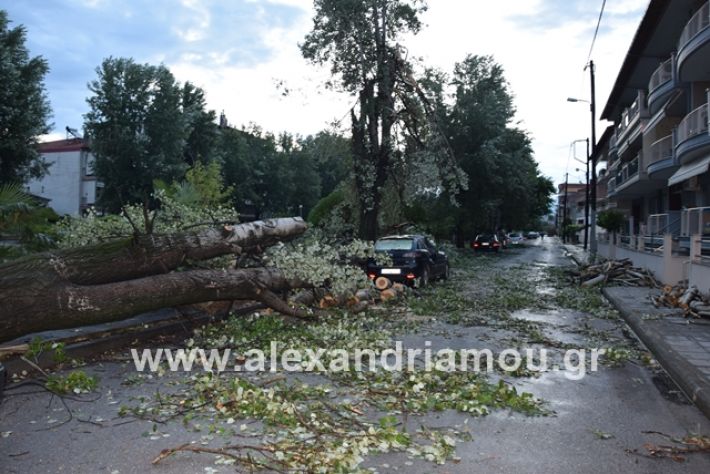 alexandriamou.gr_mpourini1201900024