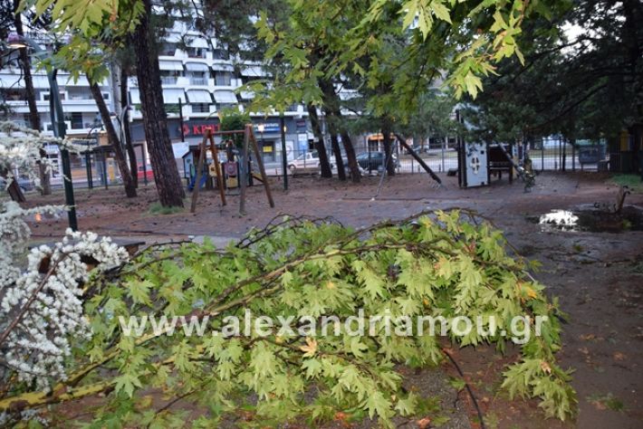 alexandriamou.gr_mpourini1201900038