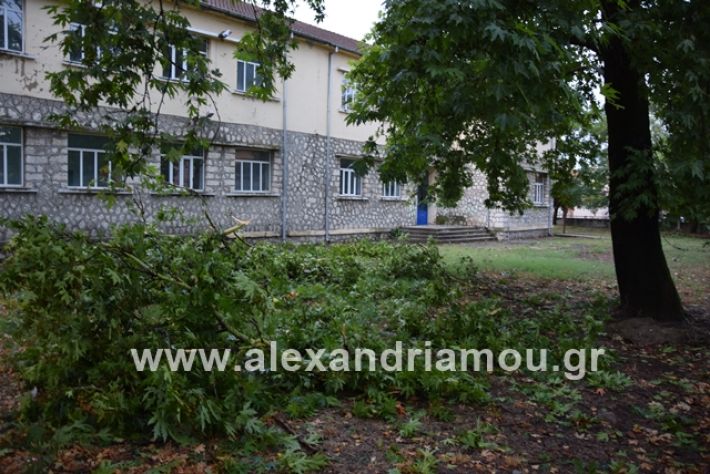 alexandriamou.gr_mpourini1201900041