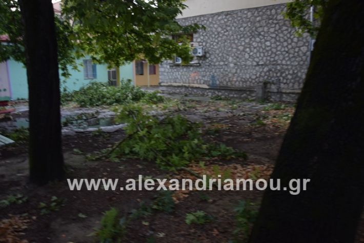 alexandriamou.gr_mpourini1201900043