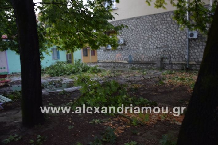 alexandriamou.gr_mpourini1201900044