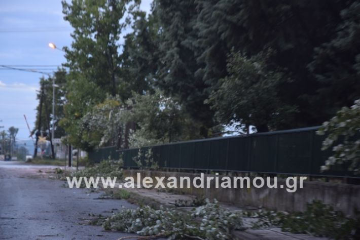 alexandriamou.gr_mpourini1201900047