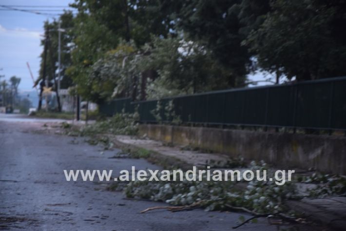 alexandriamou.gr_mpourini1201900048